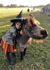 Joyce la ponette Joyce la ponette