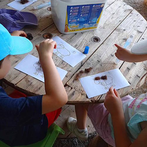 Pédagogie Pédagogie